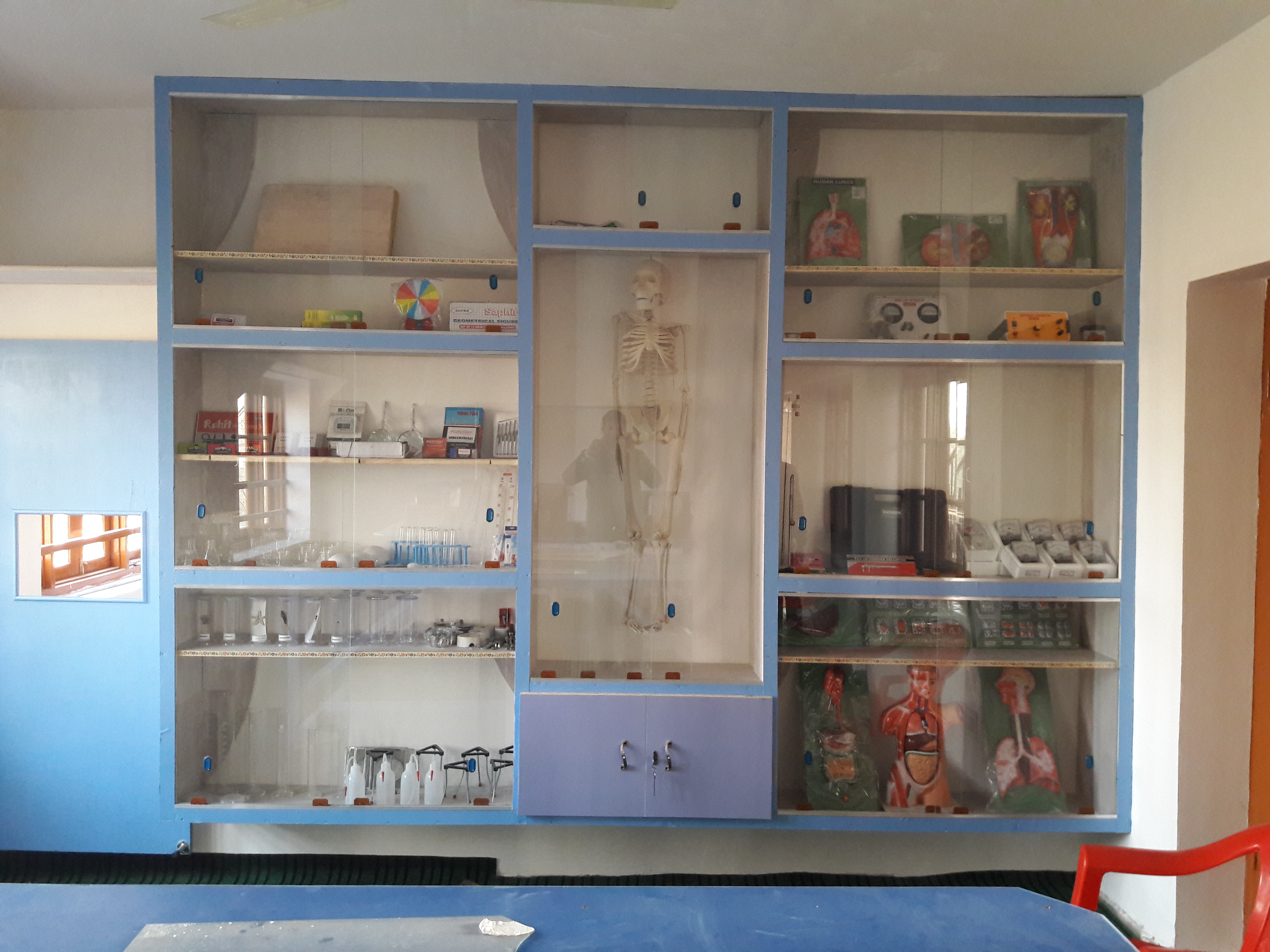 lab